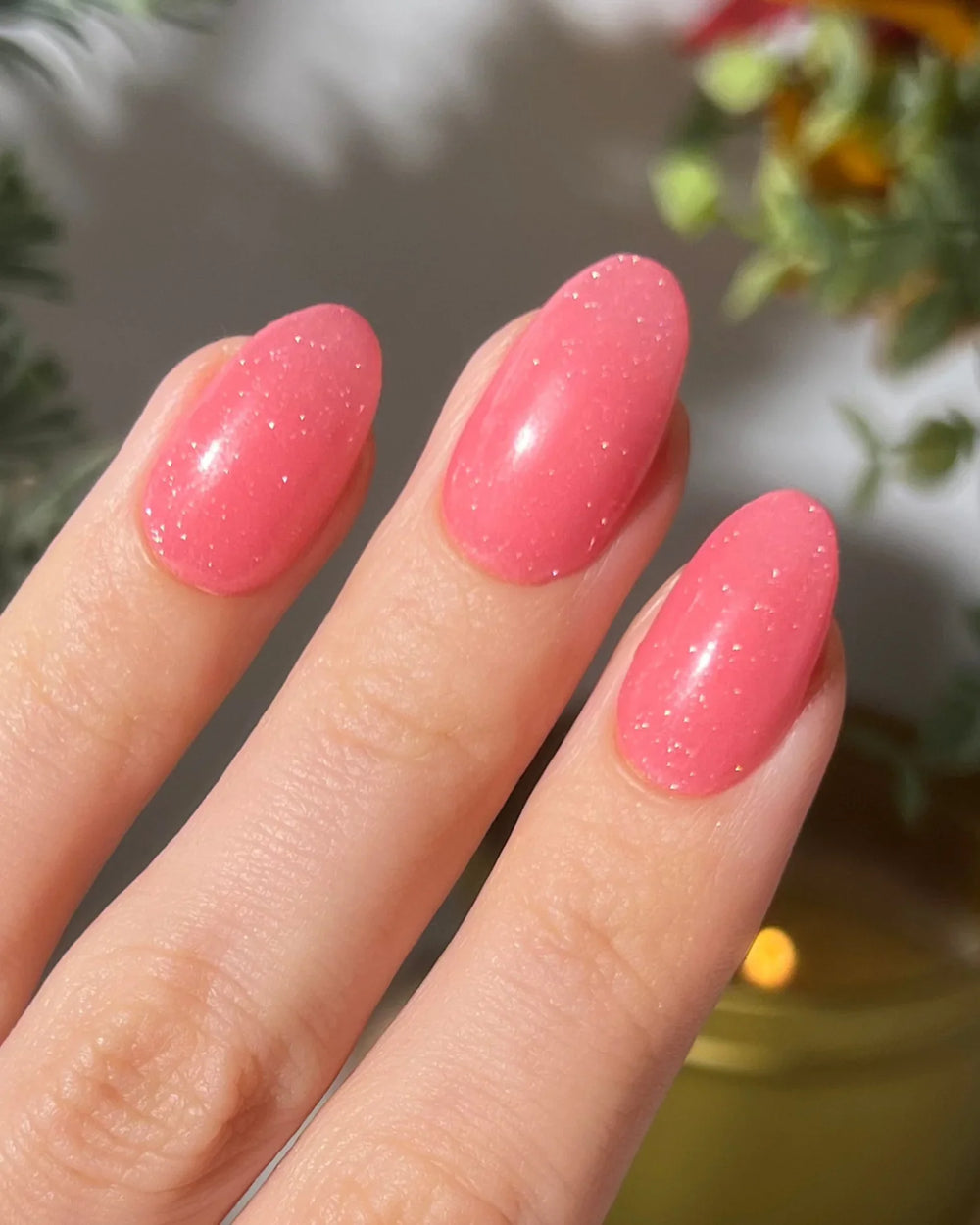 Mocha Rose en la mano