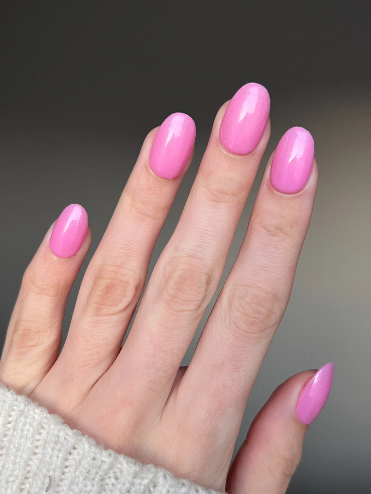 Persian Pink en la mano