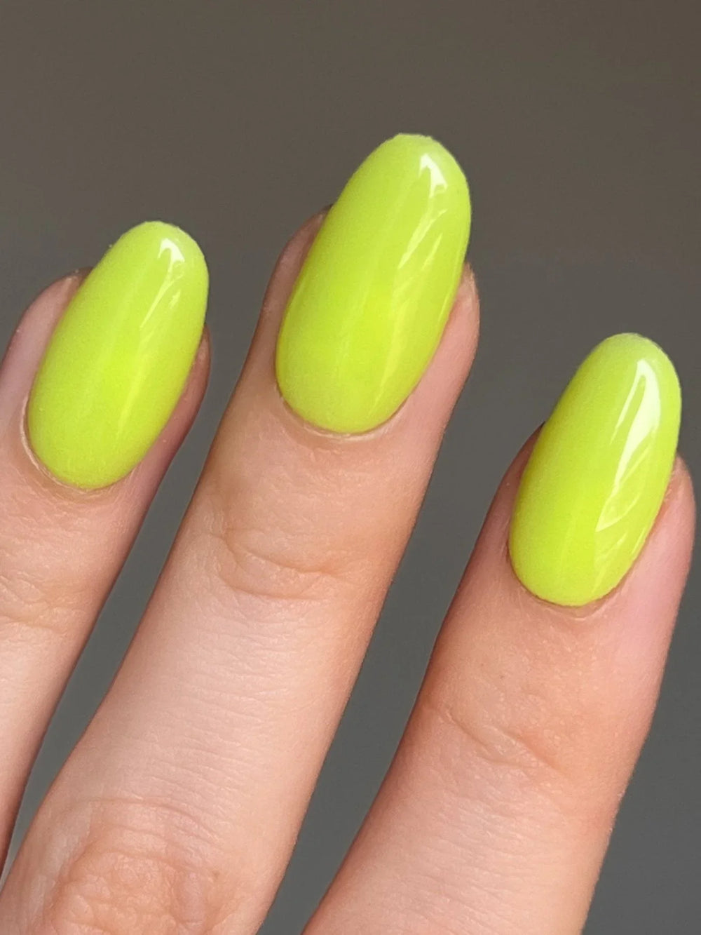 Smooth Avocado en la mano
